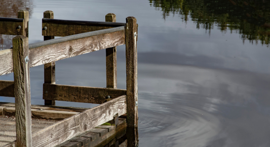 The Battle Against Murk: Why Lake Weeds Shouldn't Take Over Your View